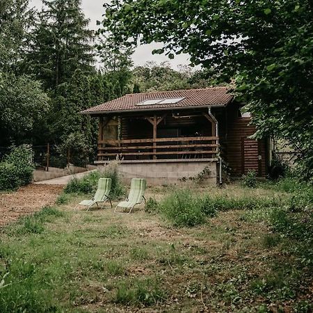 Vila Dunakavics Vendeghaz Stranddal Zebegény Exteriér fotografie